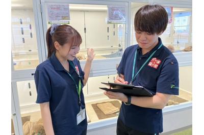 株式会社犬の家 犬の家　アミーゴ高岡蓮花寺店（株式会社犬の家）の求人画像