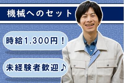 日本コンピューターシステム株式会社 派遣のニコスの求人画像