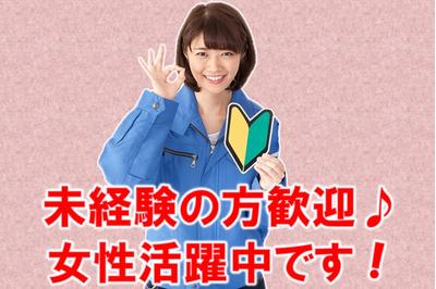 日本コンピューターシステム株式会社 派遣のニコスの求人画像