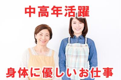 日本コンピューターシステム株式会社 派遣のニコスの求人画像