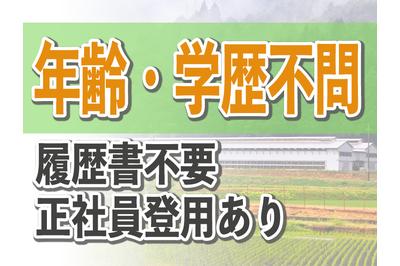 とうざい株式会社の求人画像