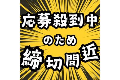 株式会社セリオsacaso派遣の求人画像