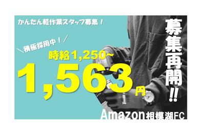 株式会社ワールドスタッフィング 広告コード55633の求人画像