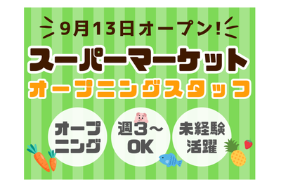 株式会社ワールドスタッフィング 広告コード55633の求人画像