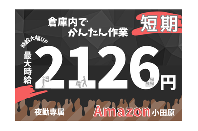 株式会社ワールドスタッフィング 広告コード55633の求人画像