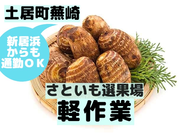 アビリティーセンター株式会社/さといも選果場での軽作業｜32441205